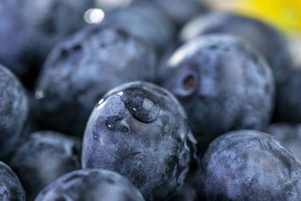 發(fā)燒能不能吃藍(lán)莓