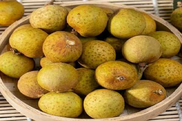 痛風(fēng)能不能吃龍眼