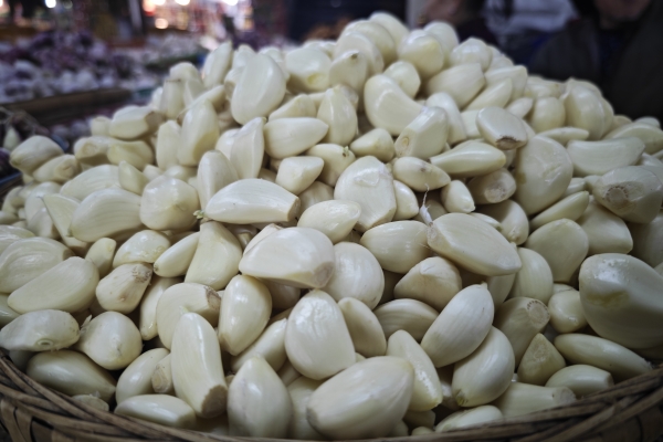 大蒜泡酒的功效與作用、禁忌和食用方法-易網(wǎng)<a href=http://www.gyfww.com/ target=_blank class=infotextkey>健康養(yǎng)生</a>網(wǎng) 大蒜泡酒的功效與作用、禁忌和食用方法