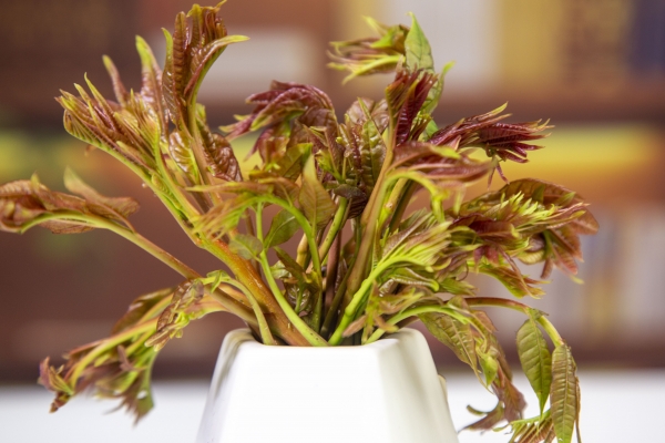 香椿芽有什么營(yíng)養(yǎng)價(jià)值-易網(wǎng)健康養(yǎng)生網(wǎng) 香椿芽有什么營(yíng)養(yǎng)價(jià)值