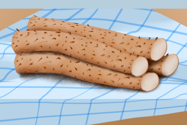 肺部感染可以吃山藥嗎