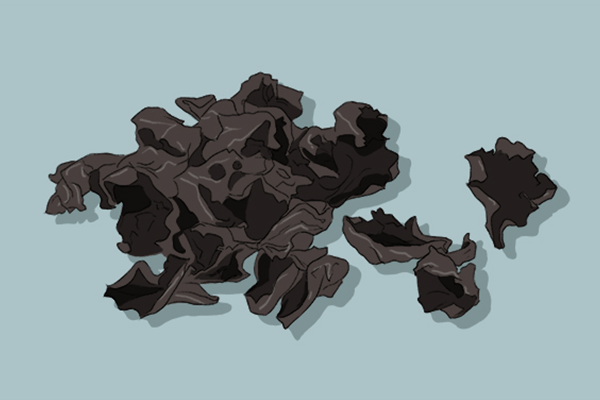 黑木耳的功效與作用、禁忌和食用方法