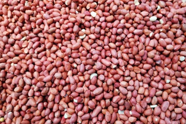 痛風能不能吃干炒花生