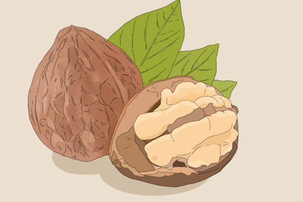 核桃露的功效與作用、禁忌和食用方法