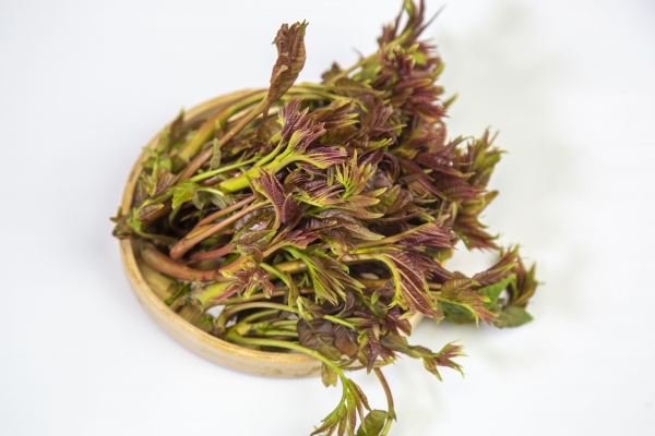 香椿芽有什么營(yíng)養(yǎng)價(jià)值-易網(wǎng)<a href=http://www.gyfww.com/ target=_blank class=infotextkey>健康養(yǎng)生</a>網(wǎng) 香椿芽有什么營(yíng)養(yǎng)價(jià)值