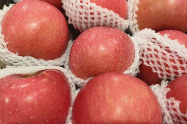 腹瀉可以吃蘋果嗎