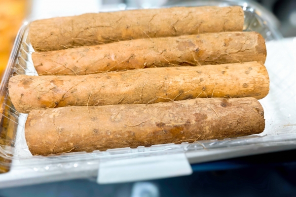 肺部感染可以吃山藥嗎