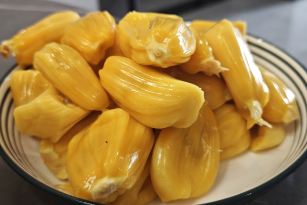 菠蘿蜜核的功效與作用、禁忌和食用方法-易網健康<a href=http://www.gyfww.com/jkys/ target=_blank class=infotextkey>養生</a>網 菠蘿蜜核的功效與作用、禁忌和食用方法