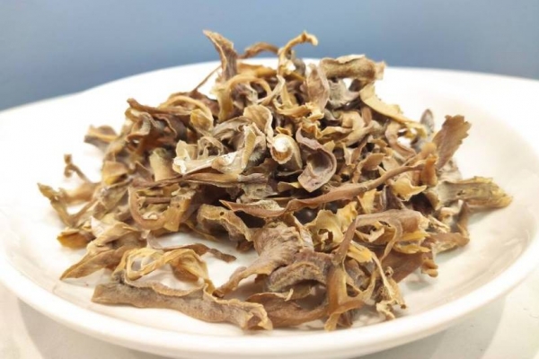 咽部腫瘤能不能吃蒲筍