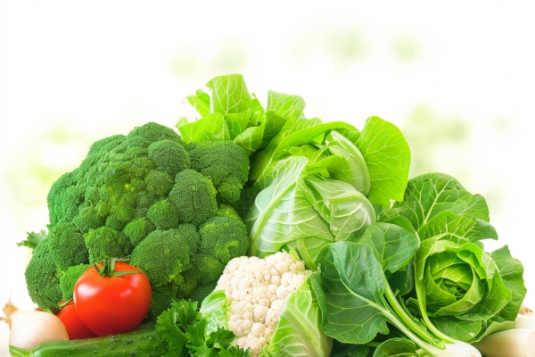 痛風能不能吃茼蒿菜