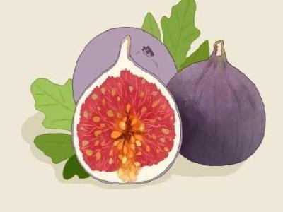 無(wú)花果干的功效與作用、禁忌和食用方法