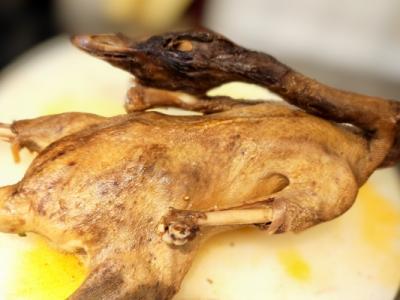 膽結(jié)石能不能吃鵝