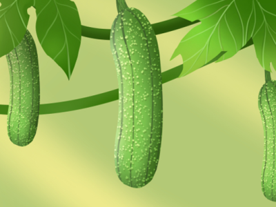 蛇瓜什么人不能吃