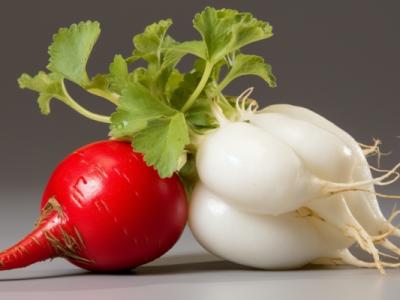 心里美蘿卜的功效與作用、禁忌和食用方法