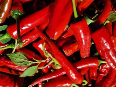 感冒了能吃辣椒嗎