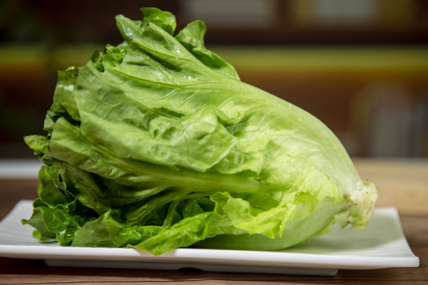 圓生菜的功效與作用、禁忌和食用方法