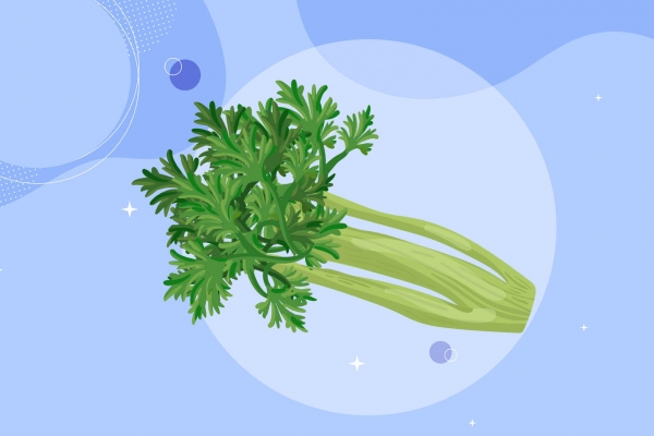 香芹的功效與作用、禁忌和食用方法