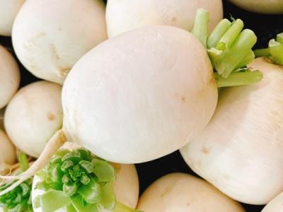 白蘿卜的功效與作用、禁忌和食用方法