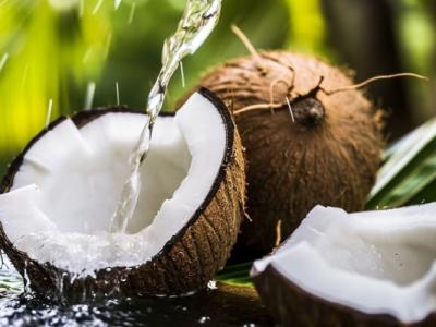 海底椰的功效與作用、禁忌和食用方法