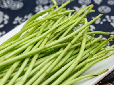 藜蒿的功效與作用、禁忌和食用方法