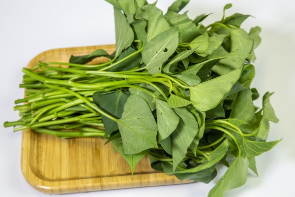 紅薯葉的功效與作用、禁忌和食用方法