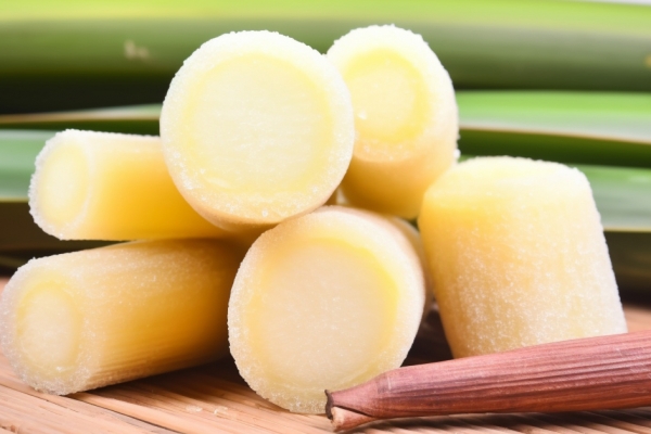 甘蔗是不是水果