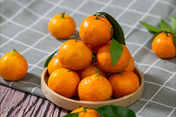 羊肉和桔子能一起吃嗎