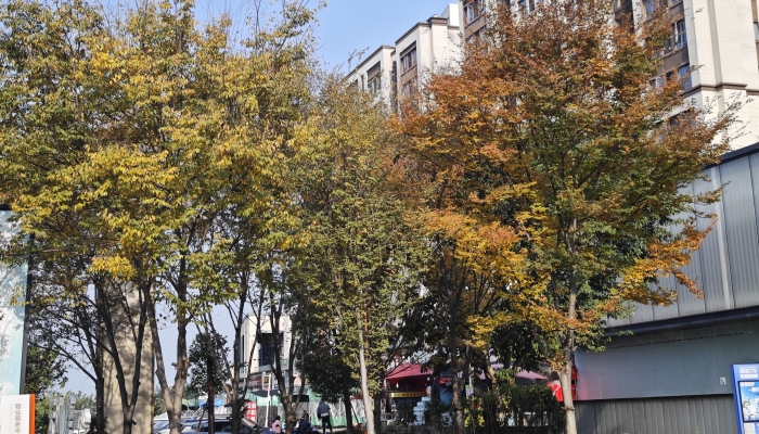 白露節(jié)氣物候有哪些特點 白露節(jié)氣的物候特點