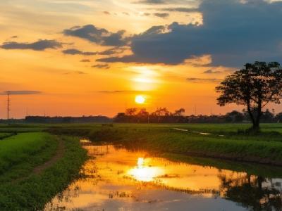 三伏天曬太陽有什么好處 曬太陽的益處