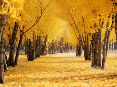 白露節氣的特點和風俗 白露節氣的風俗有哪些