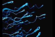 精子健不健康，看這4點就知道了！不用看醫生，在家就能自測