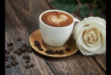 十二種食物會讓女性朋友吃了變笨