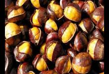 生吃板栗竟然最能補男人腎