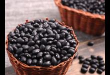 什么原因?qū)е履I陽虛呢