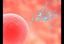 男人都在什么情況下會遺精