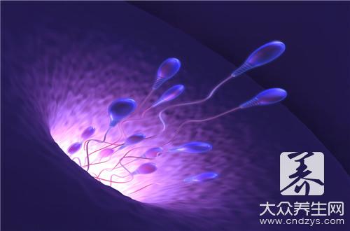 精子和卵子結合肚子會疼嗎？