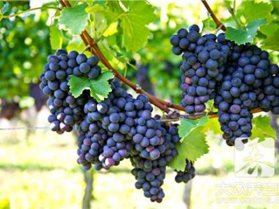 面對(duì)這種“挑釁”男人竟會(huì)沉迷