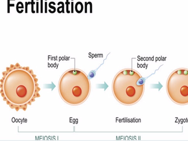 精子好吃 男人的精子女人可以吃嗎