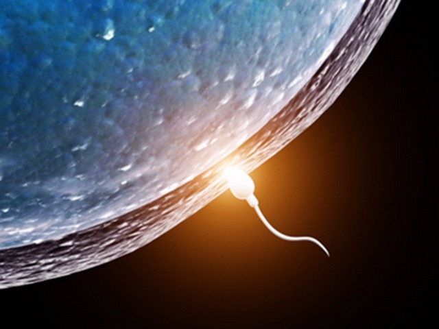 精液的味道能否引起房事激情