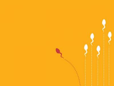 老公不行？精子質(zhì)量標(biāo)準(zhǔn)用什么來衡量