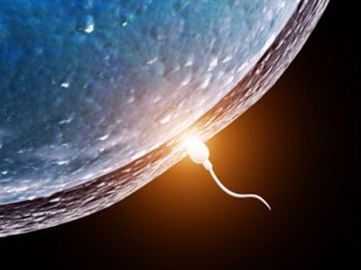 精液的味道能否引起房事激情