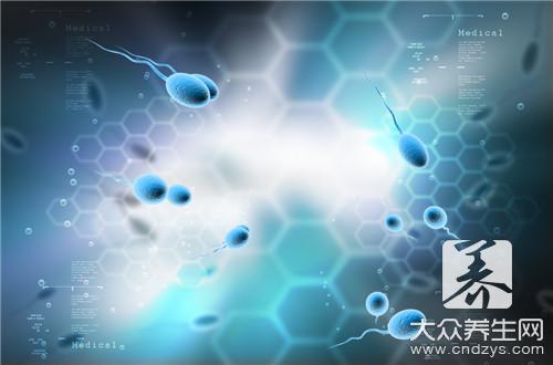 把精子吞進去會怎么樣