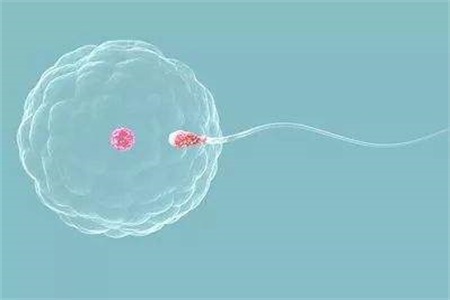 排卵期怎么算？記住這三點，女生可自測