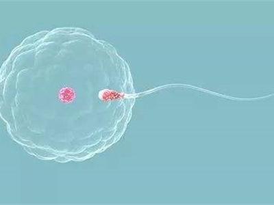 排卵期怎么算？記住這三點(diǎn)，女生可自測