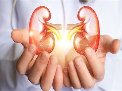 女性腎虛的表現(xiàn)，腎虛吃什么食物能補現(xiàn)在知道還不晚