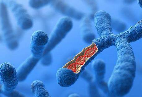 五十五女性如何提高受孕率？高齡產婦備孕前準備有哪些