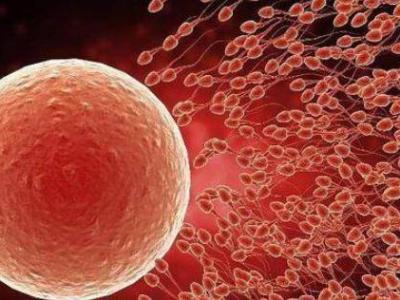 五十五女性如何提高受孕率？高齡產婦備孕前準備有哪些