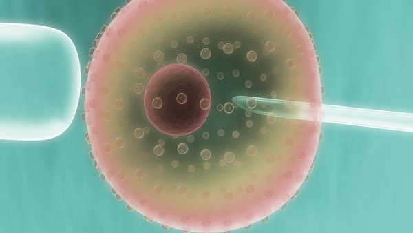 女性卵泡發(fā)育不良怎么辦 應(yīng)對(duì)卵泡異常的4個(gè)方法-易網(wǎng)健康<a href=http://www.gyfww.com/jkys/ target=_blank class=infotextkey>養(yǎng)生</a>網(wǎng) 女性卵泡發(fā)育不良怎么辦 應(yīng)對(duì)卵泡異常的4個(gè)方法