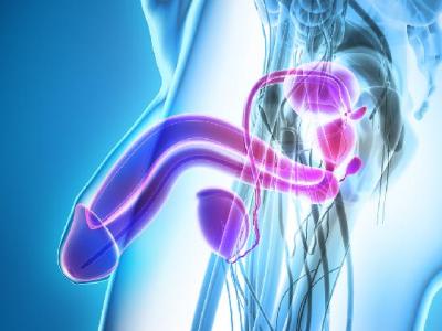 日常要如何預防陰虱? 日常注意四點有效避免感染陰虱