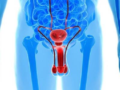 陰虱導(dǎo)致瘙癢難耐該怎么辦 四個(gè)簡單實(shí)用方法可除陰虱止癢